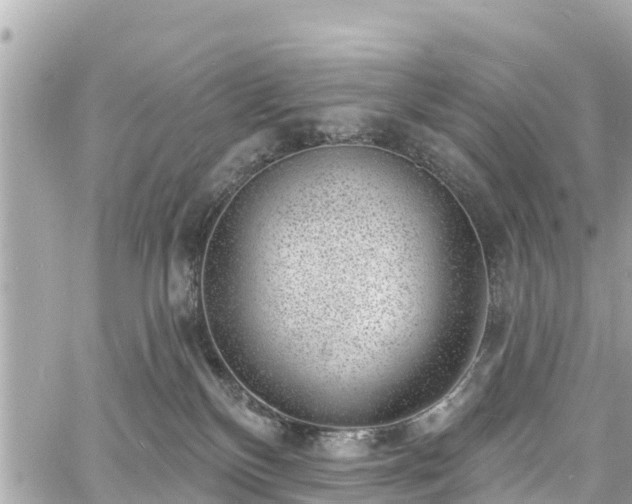 X0000060810136200511141516