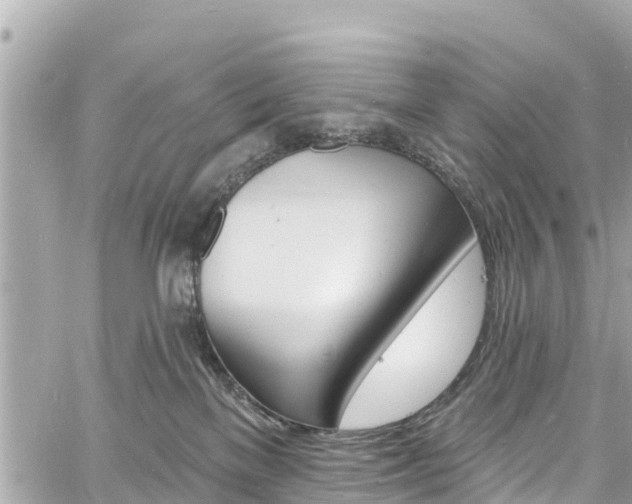 X0000060810137200511141516