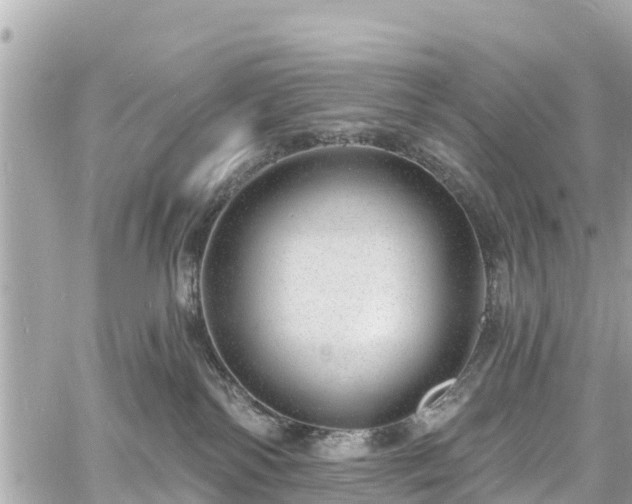 X0000060810138200511141516