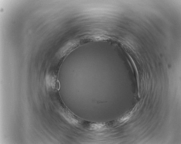 X0000060810139200511141516