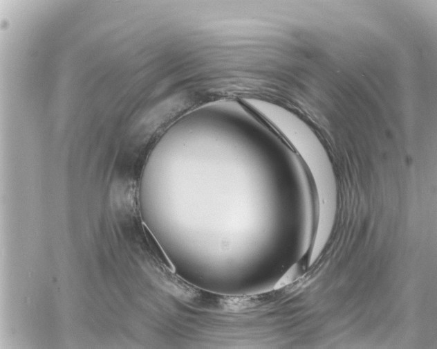 X0000060810141200511141516