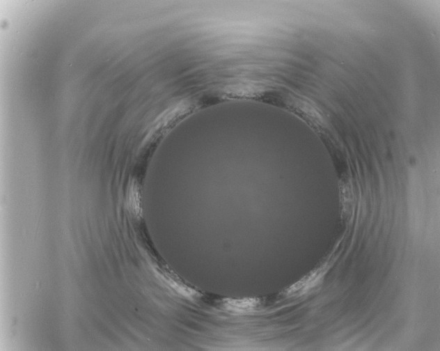 X0000060810143200511141516