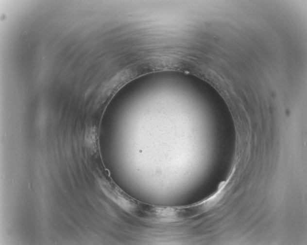 X0000060810144200511141516