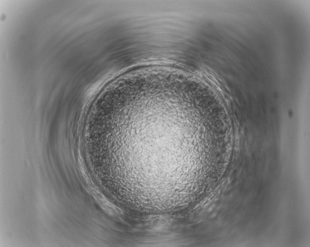 X0000060810145200511141515