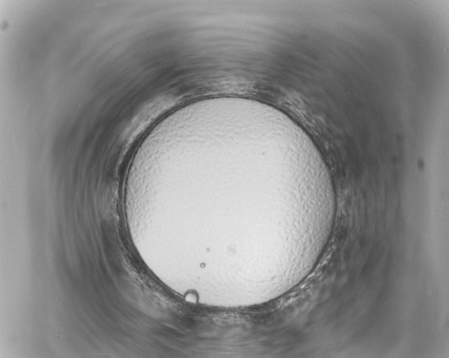 X0000060810146200511141515