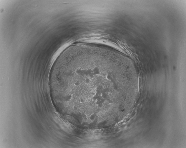 X0000060810147200511141515