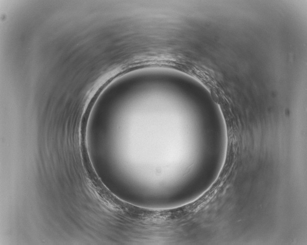 X0000060810148200511141515