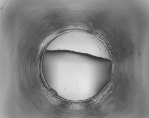 X0000060810149200511141515