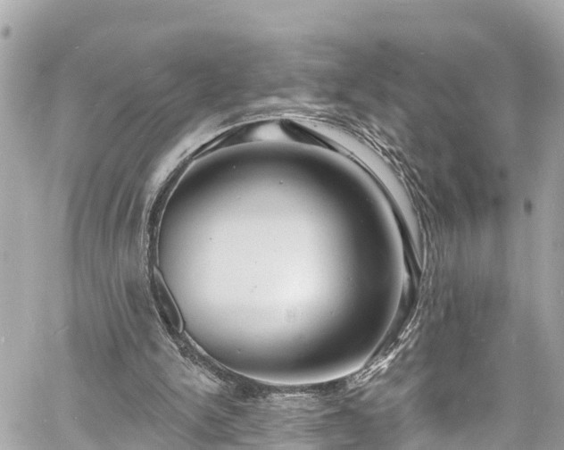 X0000060810150200511141515