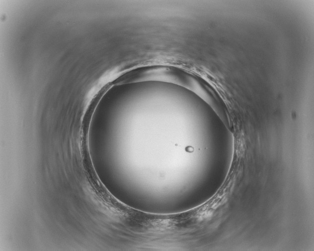 X0000060810152200511141515