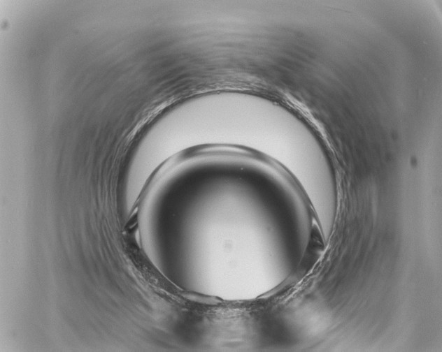 X0000060810154200511141515