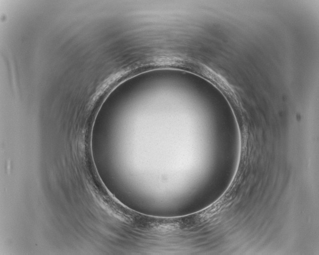 X0000060810155200511141515