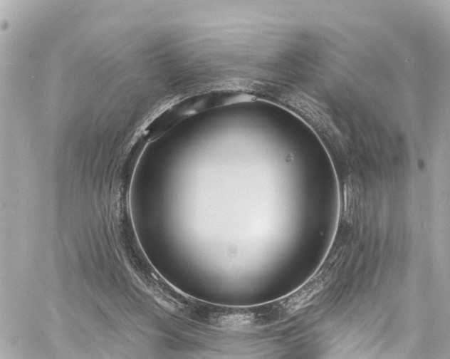 X0000060810156200511141515