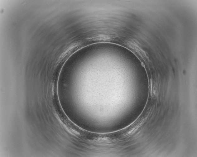 X0000060810157200511141515