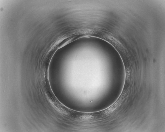 X0000060810158200511141515