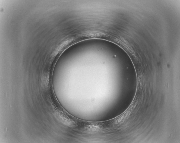 X0000060810159200511141515