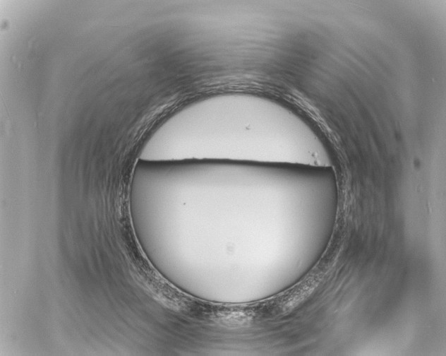 X0000060810161200511141515