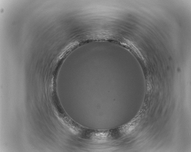 X0000060810163200511141515