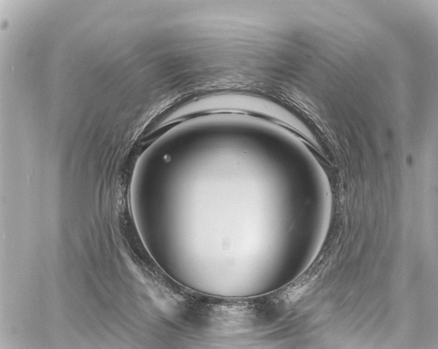 X0000060810164200511141515