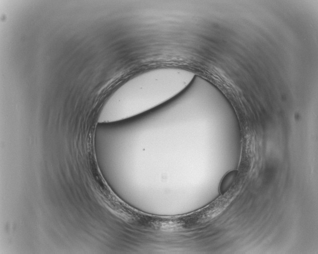 X0000060810165200511141515