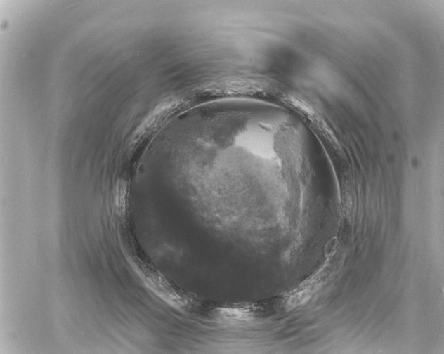 X0000060810167200511141515