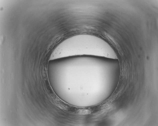 X0000060810169200511141515