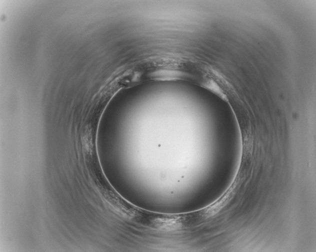 X0000060810170200511141515