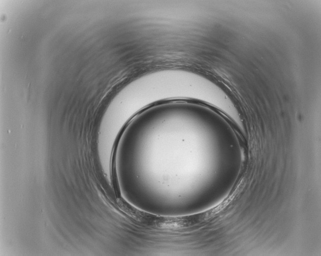 X0000060810171200511141516