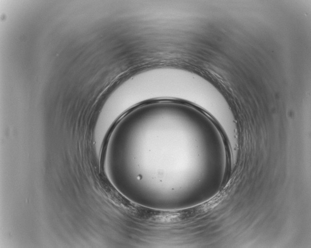 X0000060810172200511141516