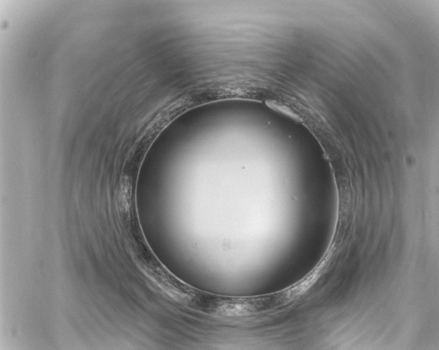 X0000060810174200511141516