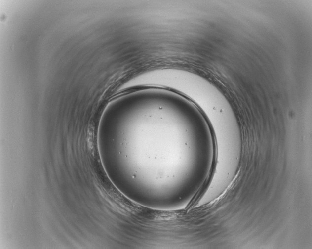 X0000060810175200511141516