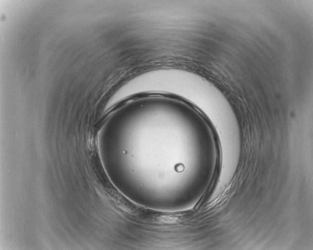 X0000060810176200511141516