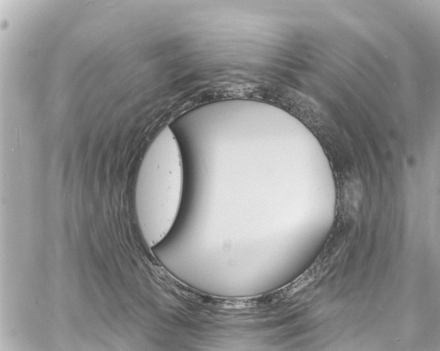 X0000060810177200511141516