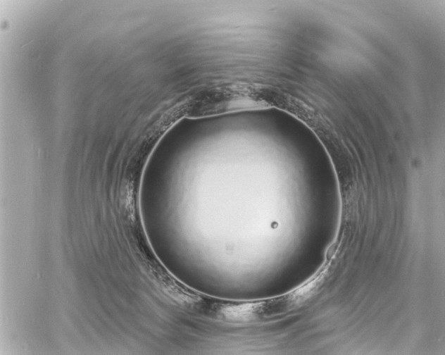 X0000060810178200511141516