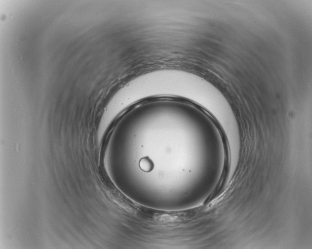 X0000060810180200511141516