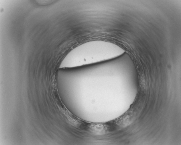 X0000060810181200511141516