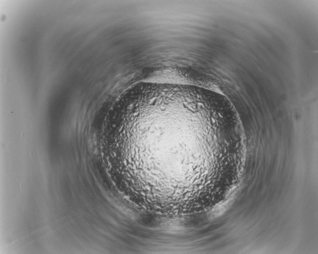 X0000060810182200511141516