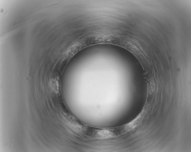 X0000060810183200511141516