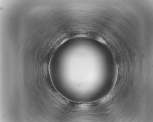 X0000060810184200511141516