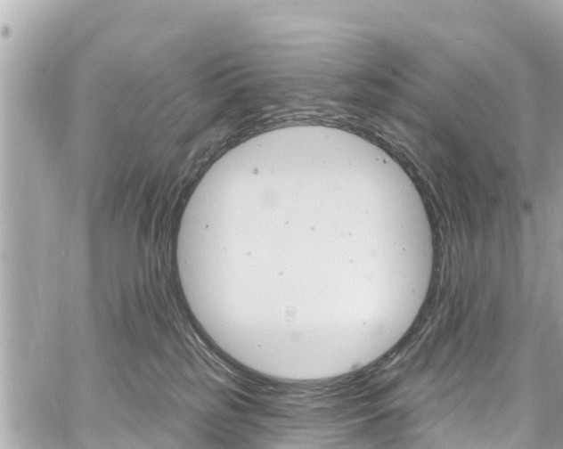 X0000060810185200511141516