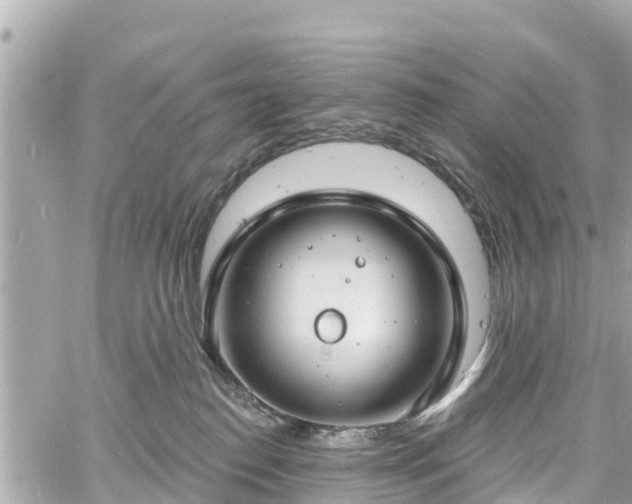 X0000060810186200511141516