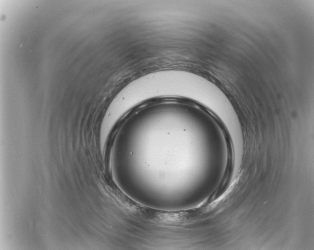 X0000060810187200511141516