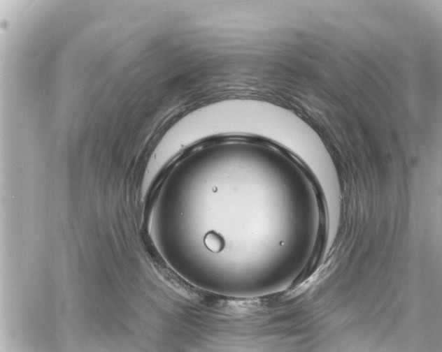 X0000060810188200511141516