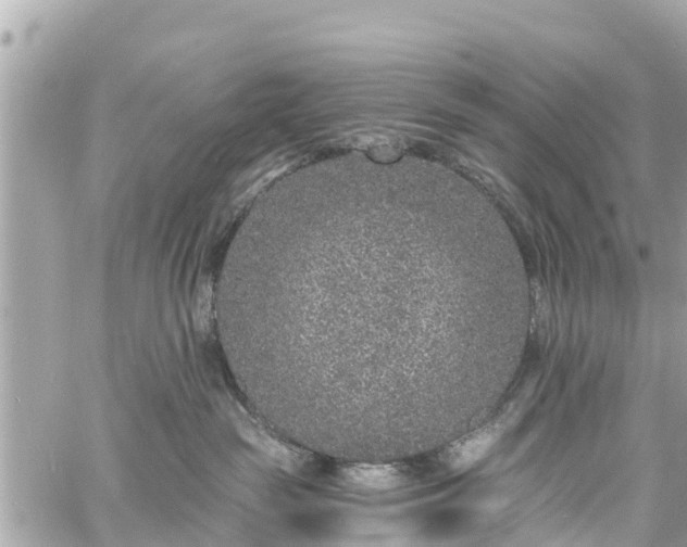 X0000060810189200511141516