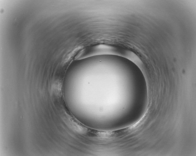 X0000060810192200511141516