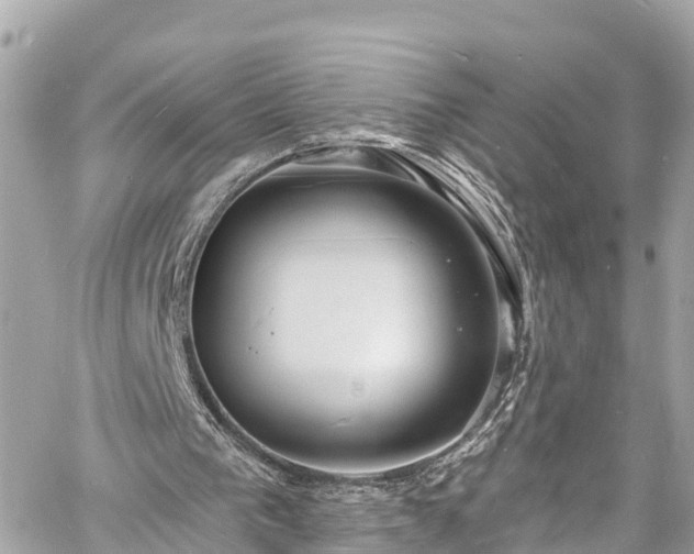 X0000060810193200511141515