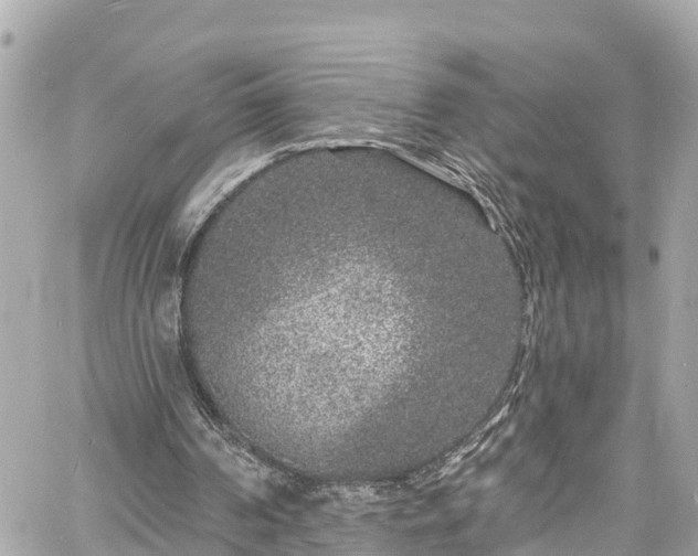 X0000060810194200511141515