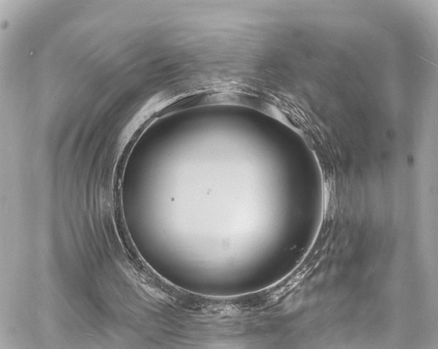 X0000060810195200511141515