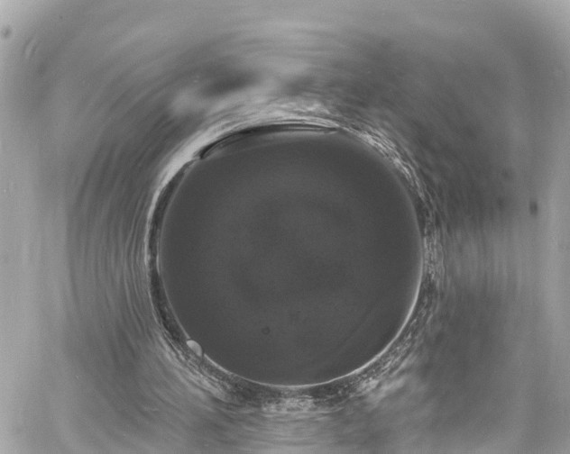 X0000060810196200511141515