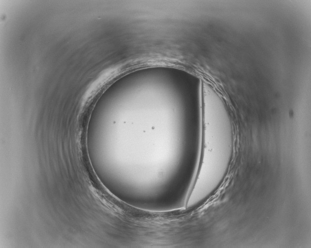 X0000060810197200511141515